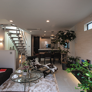 Diagonal lines make compact house roomy.