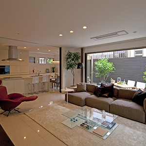 Double Patio House