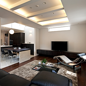 BLACK & WHITE Urban Modern House