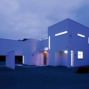 3 BOX HOUSE